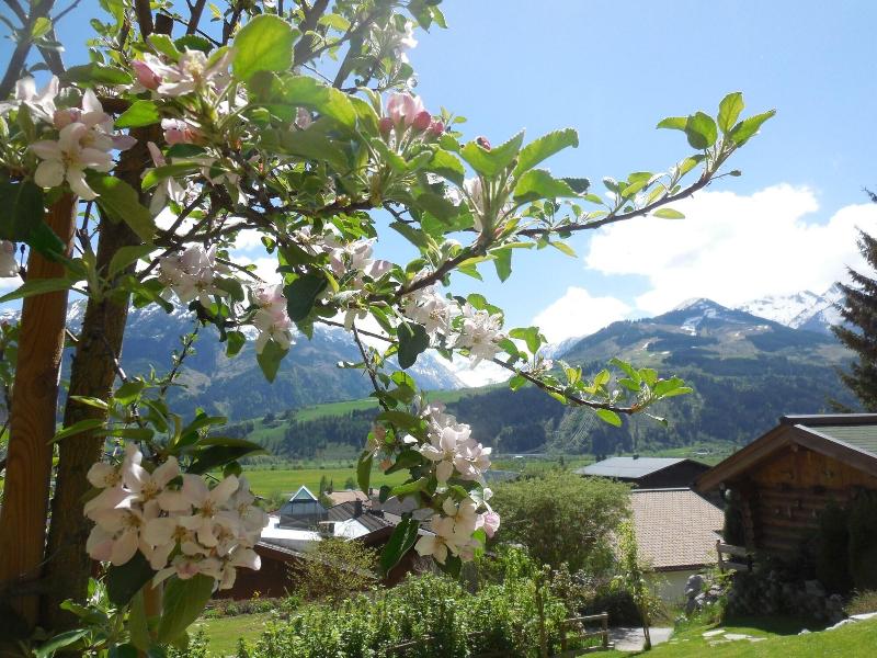 Landhaus Kitzblick image