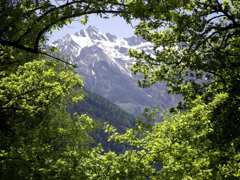 Heilbad Burgwies image