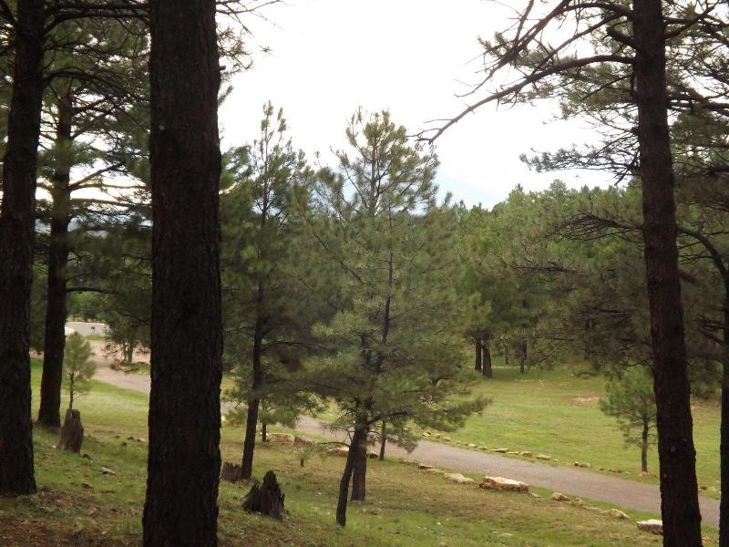 Arizona Mountain Inn And Cabins, Flagstaff