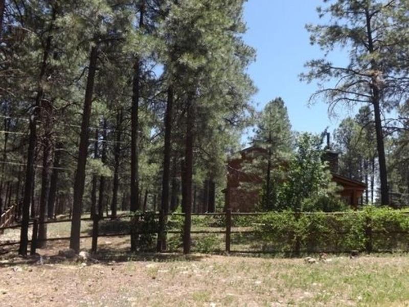 Arizona Mountain Inn And Cabins