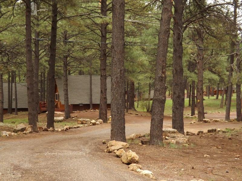 Arizona Mountain Inn And Cabins