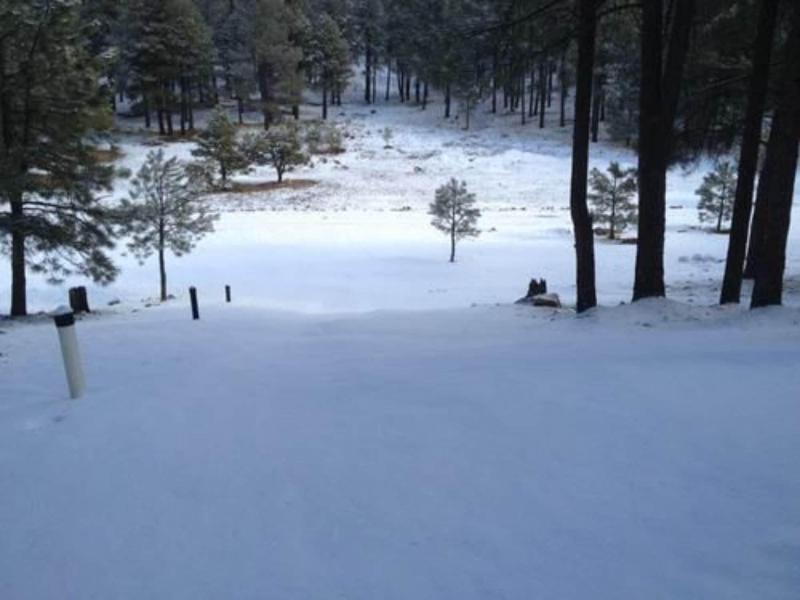 Arizona Mountain Inn And Cabins