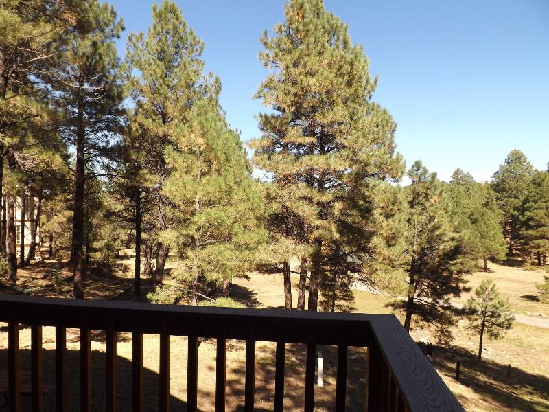 Arizona Mountain Inn And Cabins
