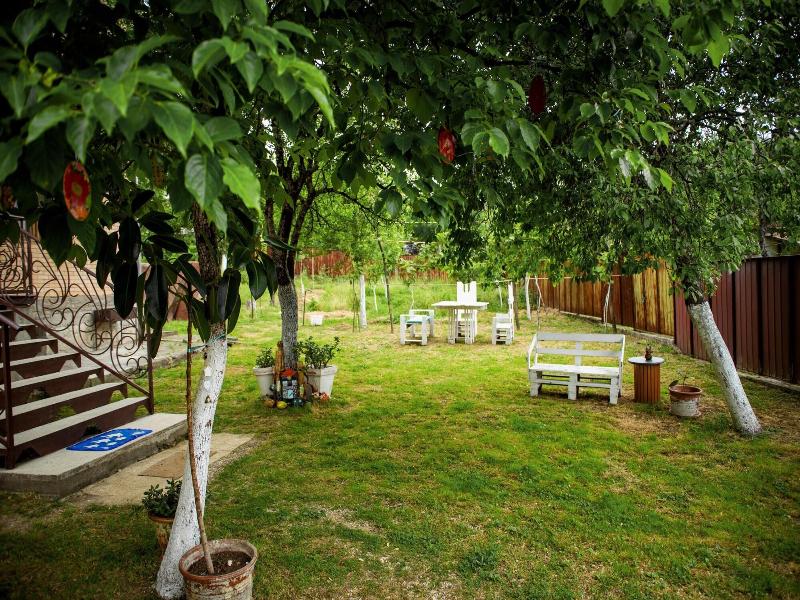 Art House Kutateli image