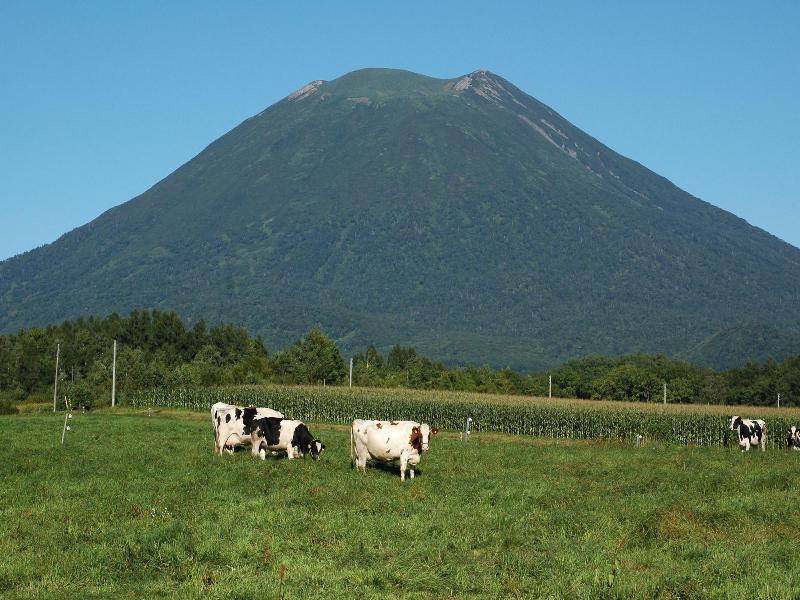 Niseko Highland Cottages