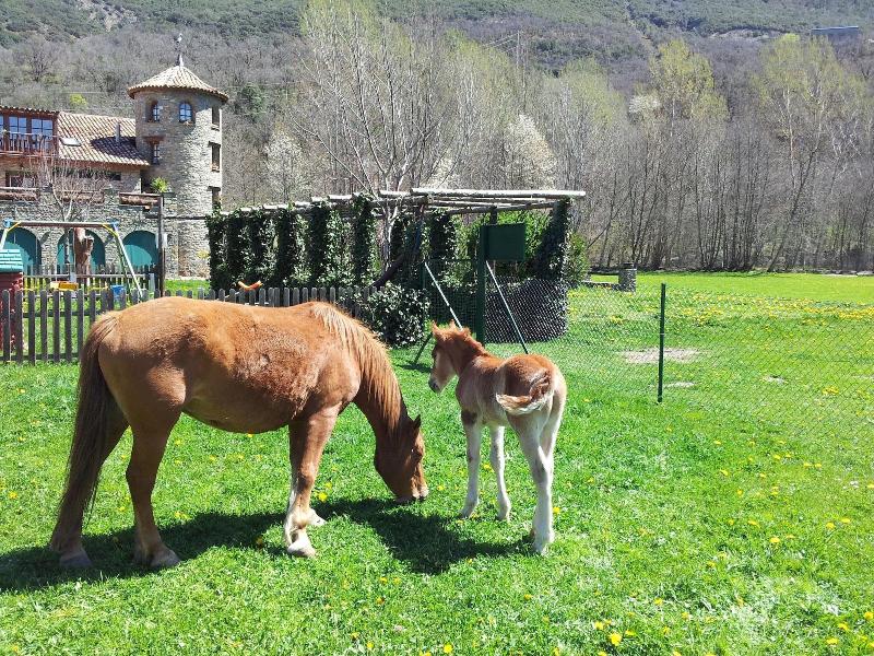 La Borda De Ritort image