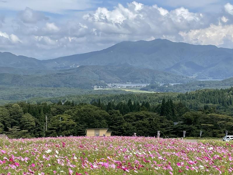 Petit Hotel Kazekozou image