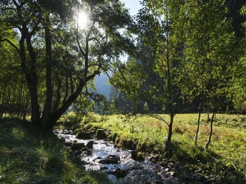 B&b Sauerland Tcf image