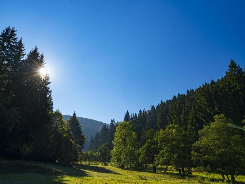 B&b Sauerland Tcf image