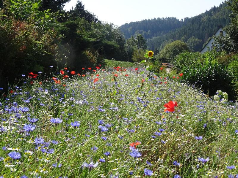 B&b Sauerland Tcf image