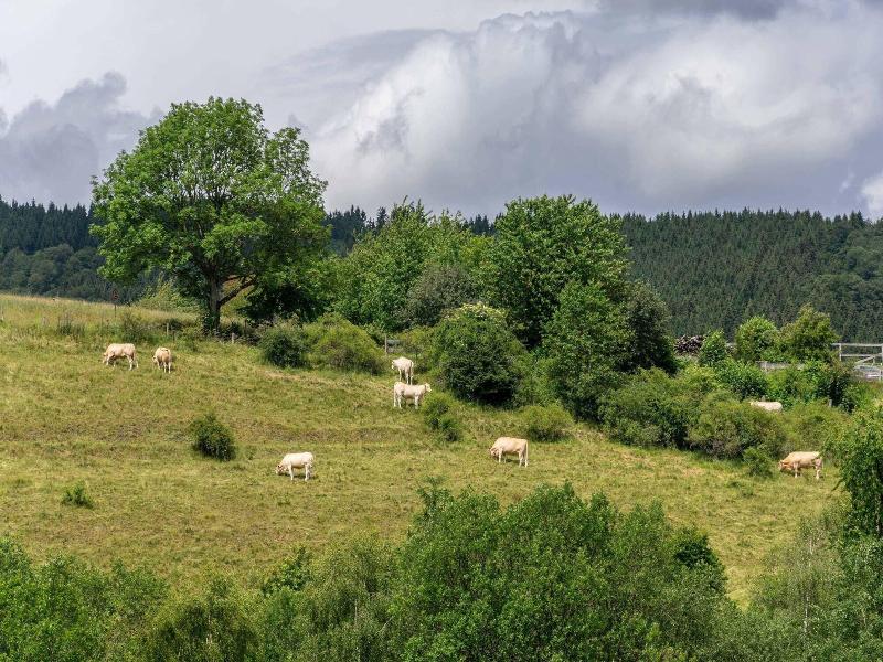 B&b Sauerland Tcf image
