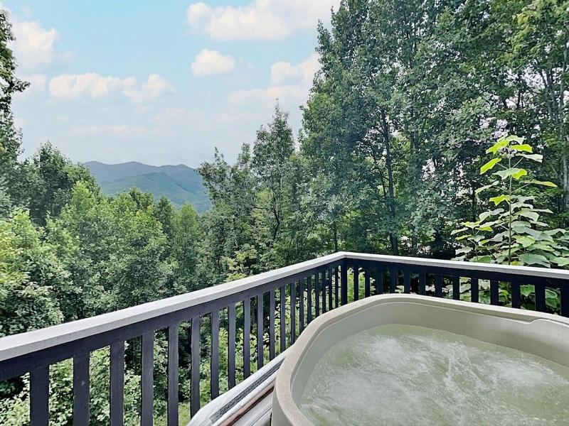 Little Bear By Jackson Mountain Rentals