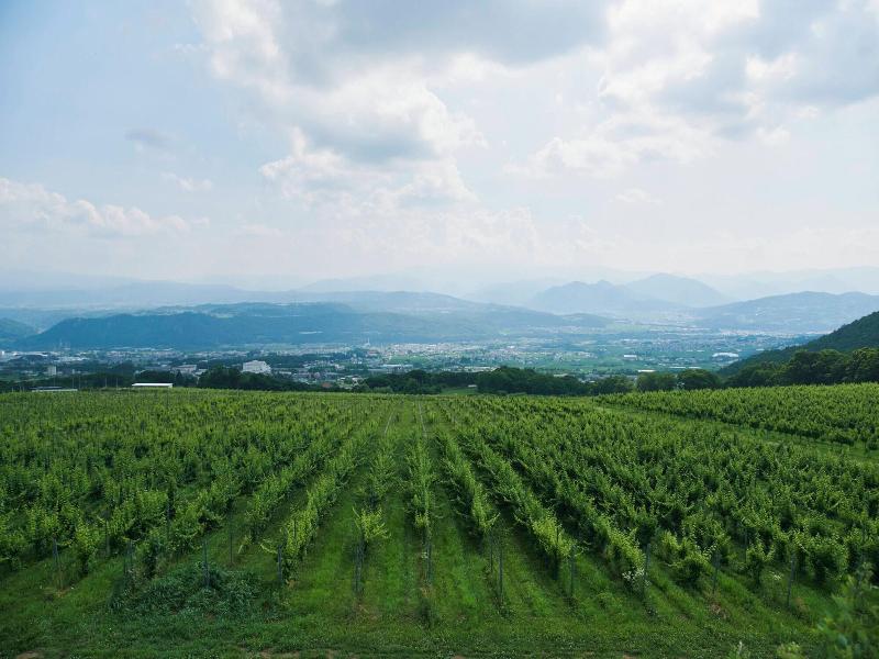 Travel Stop Unnowa image