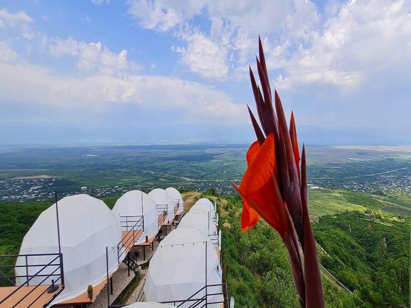 Signagi Glamping image