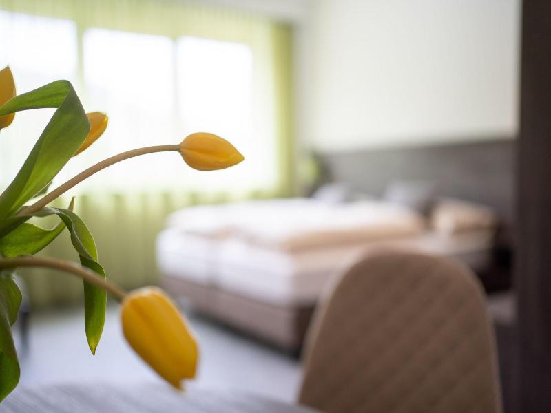 Eee Hotel Liezen image