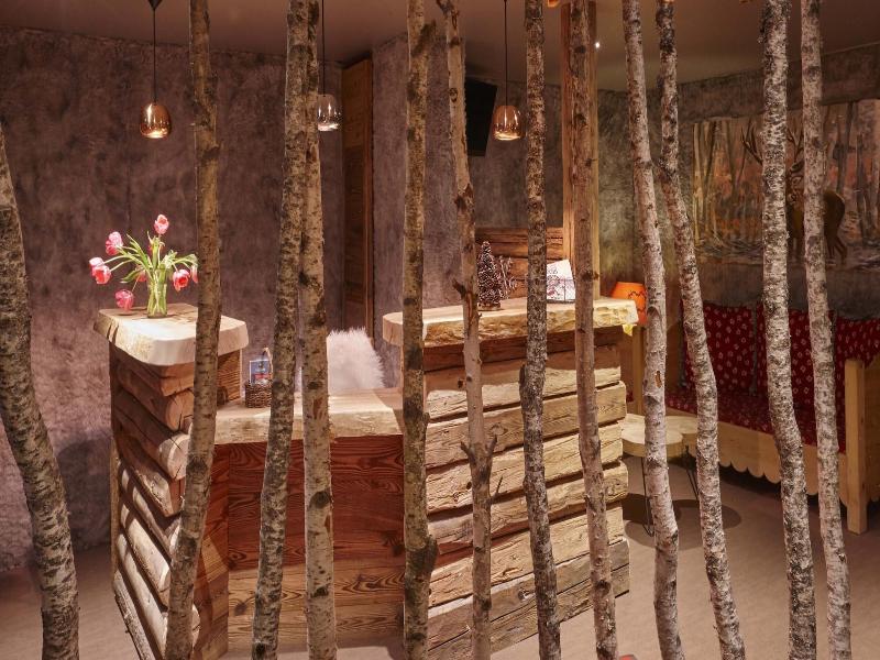 Lodge Chasse Montagne image