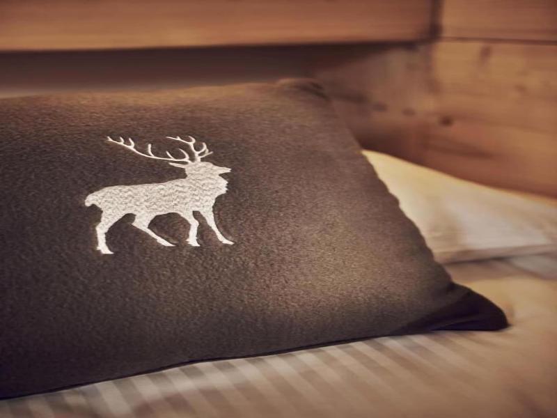 Lodge Chasse Montagne image