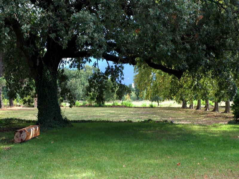 Chateau De Villeclare image