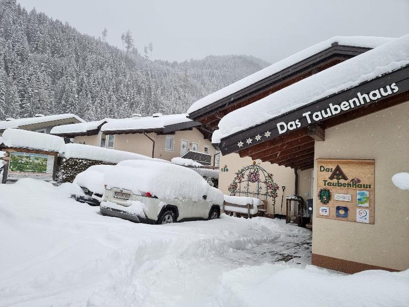Das Taubenhaus image