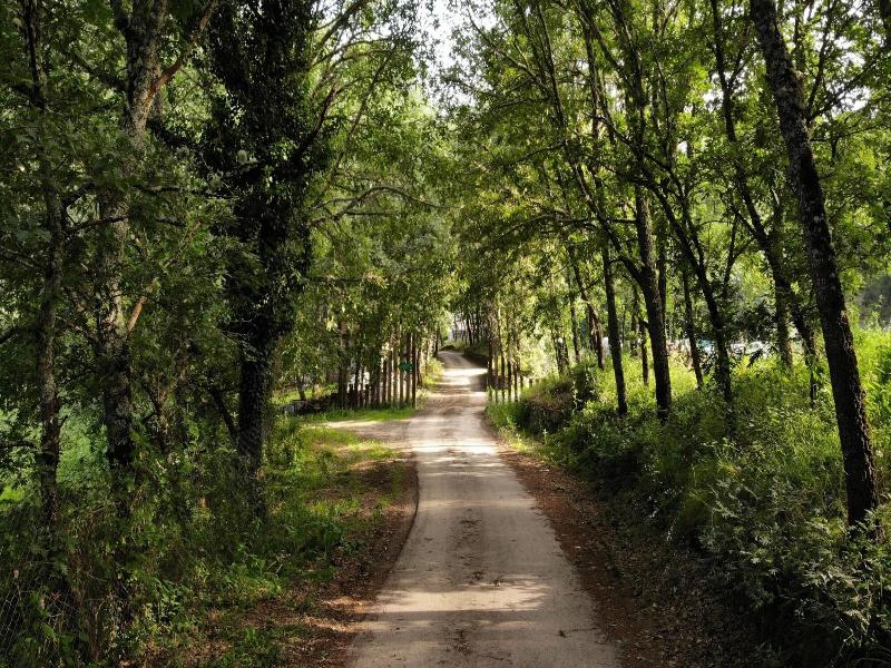 Albergue Valle Do Seo image