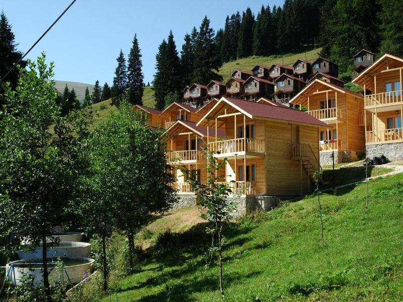 Hamsikã¶y Zitaåÿ Bungalov & Restoran image