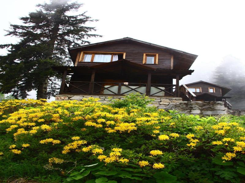 Hamsikã¶y Zitaåÿ Bungalov & Restoran image