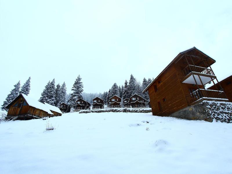 Hamsikã¶y Zitaåÿ Bungalov & Restoran image