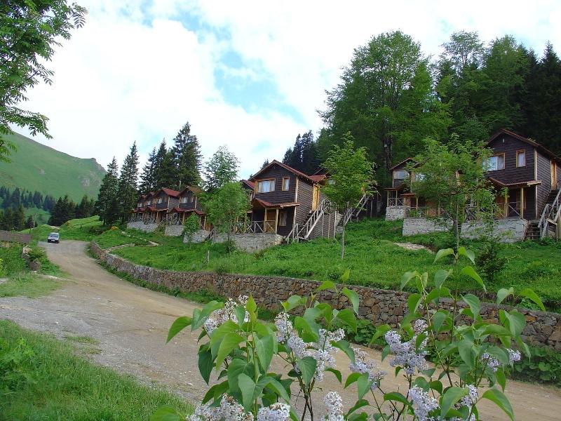 Hamsikã¶y Zitaåÿ Bungalov & Restoran image