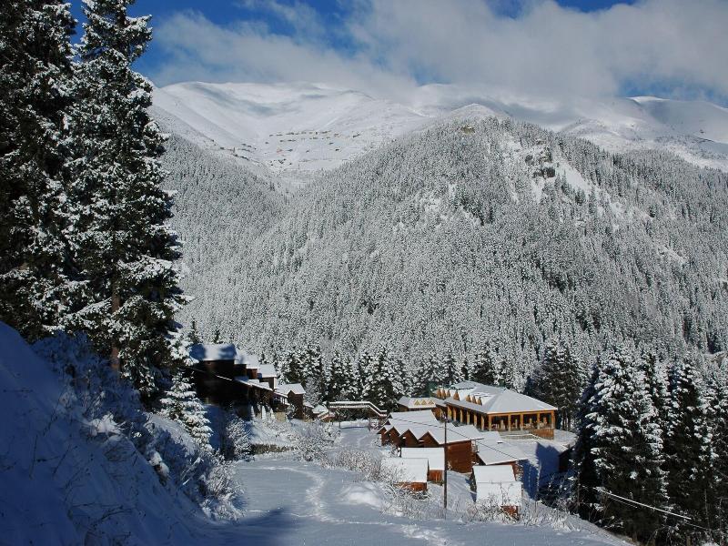Hamsikã¶y Zitaåÿ Bungalov & Restoran image