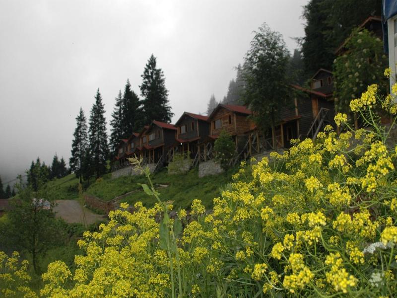 Hamsikã¶y Zitaåÿ Bungalov & Restoran image
