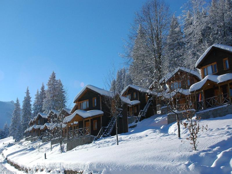 Hamsikã¶y Zitaåÿ Bungalov & Restoran image