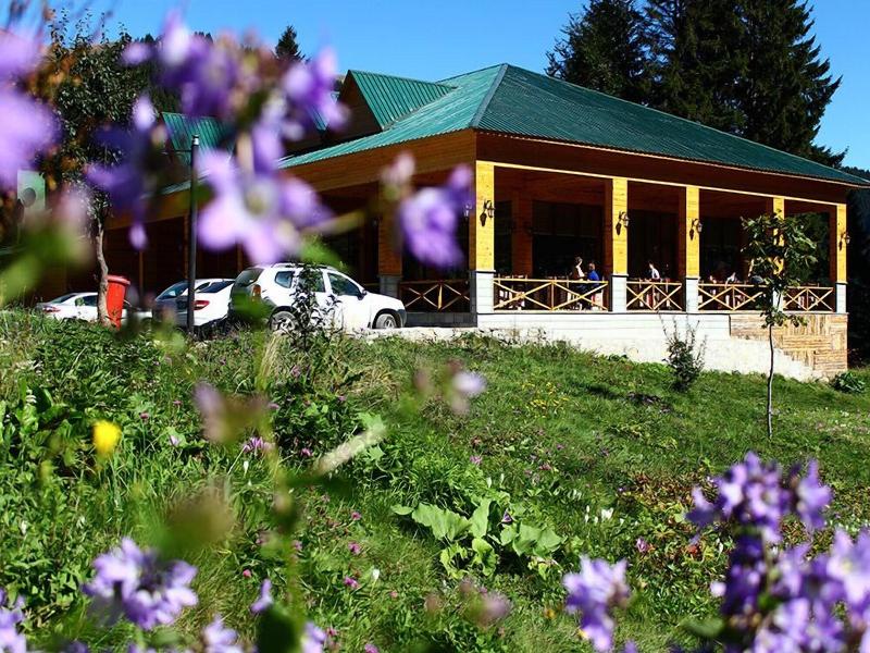 Hamsikã¶y Zitaåÿ Bungalov & Restoran image