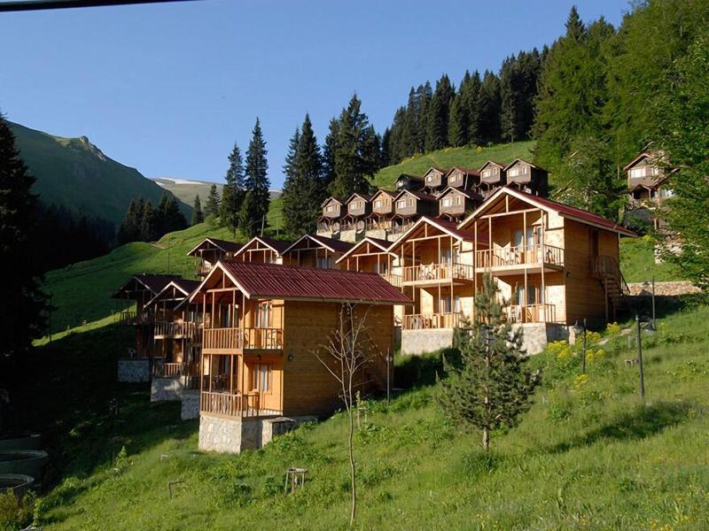 Hamsikã¶y Zitaåÿ Bungalov & Restoran image