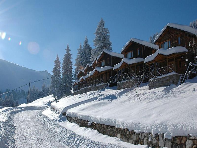 Hamsikã¶y Zitaåÿ Bungalov & Restoran image