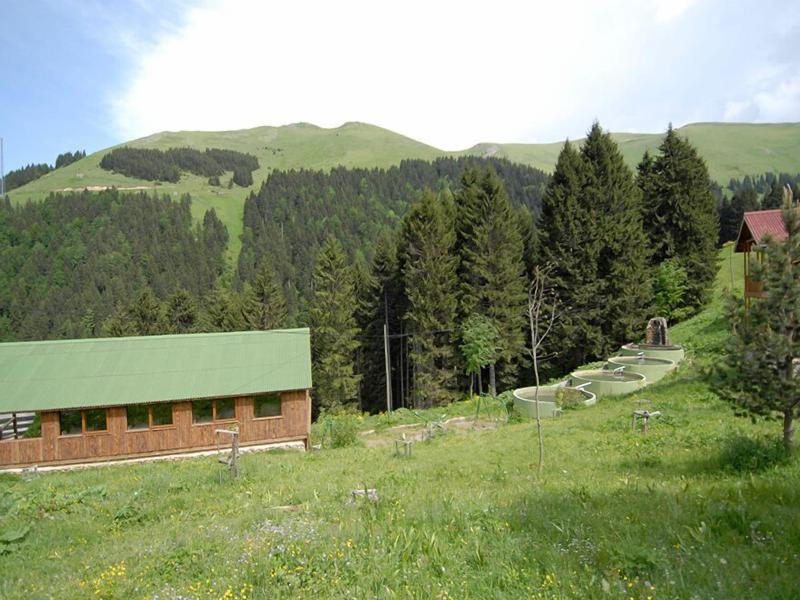 Hamsikã¶y Zitaåÿ Bungalov & Restoran image