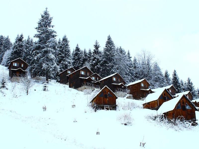 Hamsikã¶y Zitaåÿ Bungalov & Restoran image