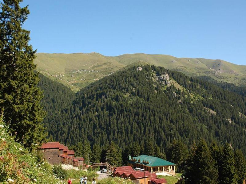Hamsikã¶y Zitaåÿ Bungalov & Restoran image