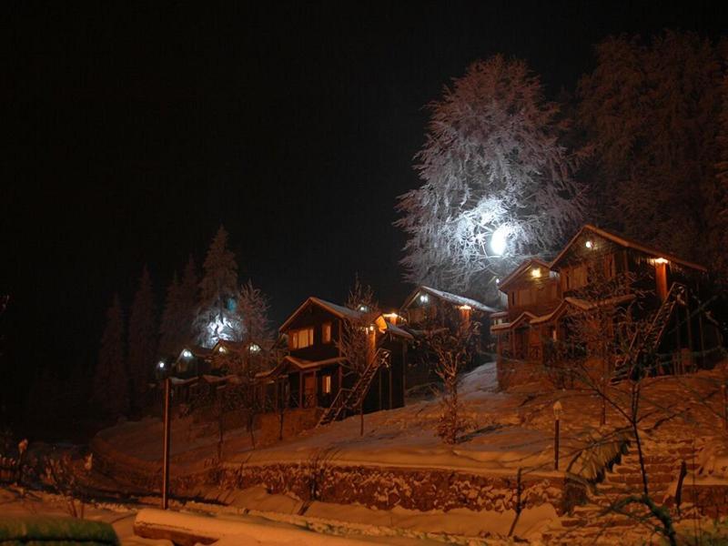 Hamsikã¶y Zitaåÿ Bungalov & Restoran image