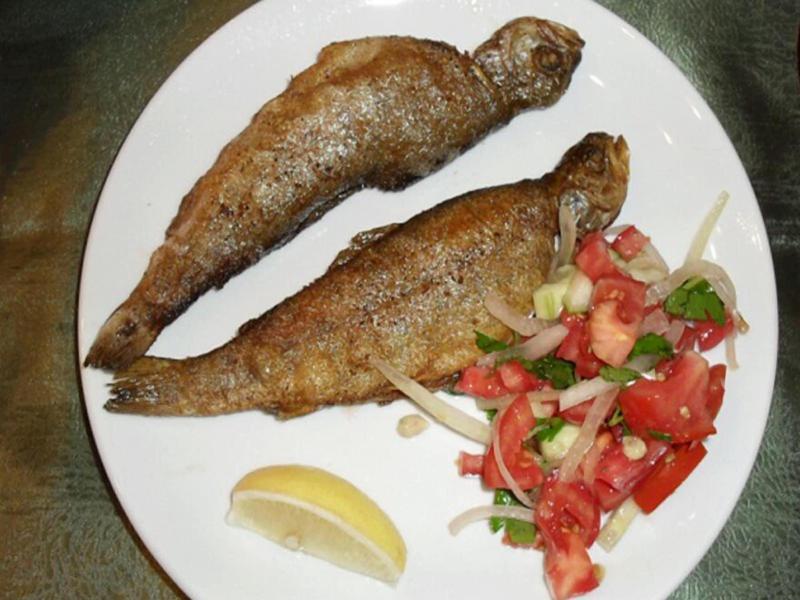 Hamsikã¶y Zitaåÿ Bungalov & Restoran image