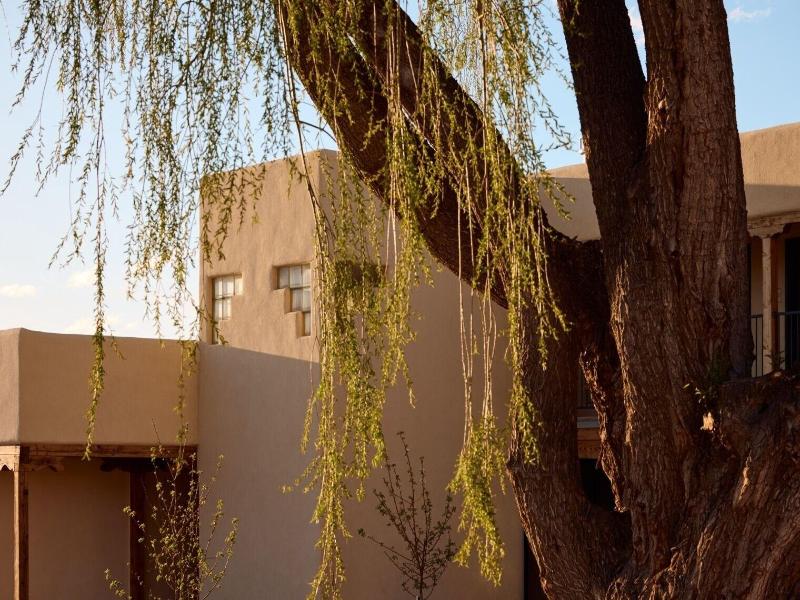 Hotel Willa — general view