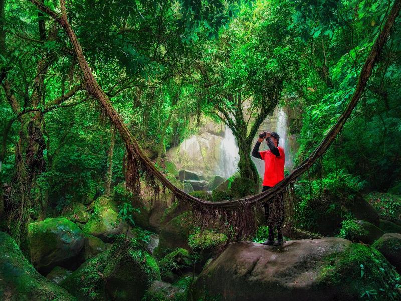 voco Kuching by IHG image