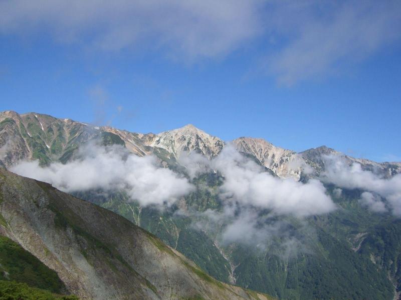 Il Bosco image