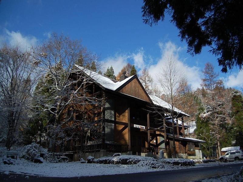 Il Bosco image