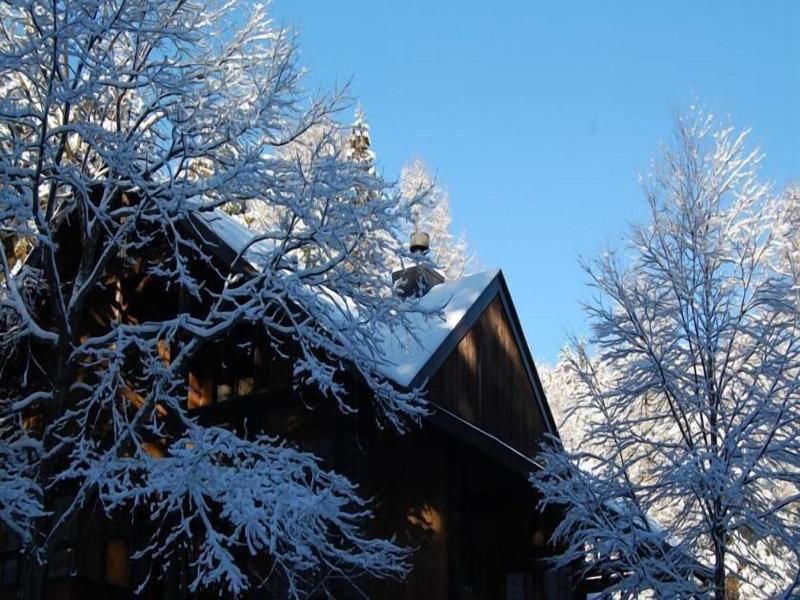 Il Bosco image