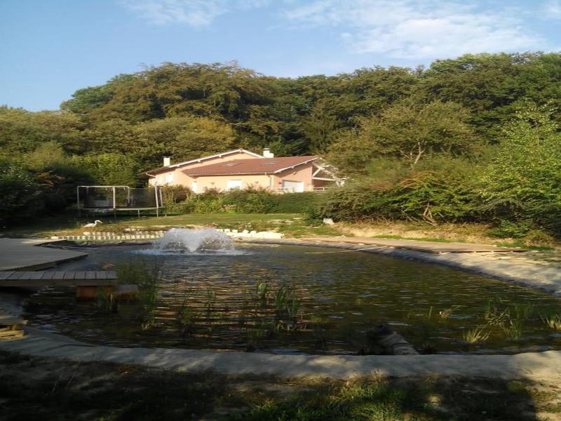 Le Jardin Ombrage image