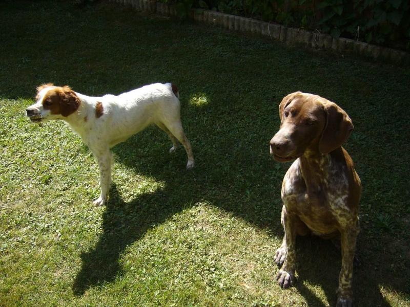 Le Jardin Ombrage image