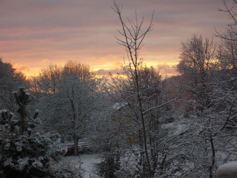 Le Jardin Ombrage image