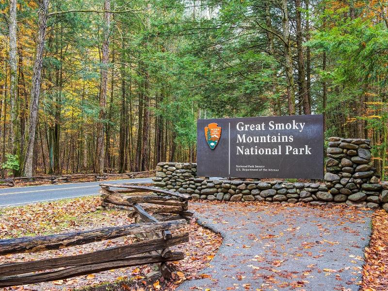 Mountain Treasure By Jackson Mountain Rentals image
