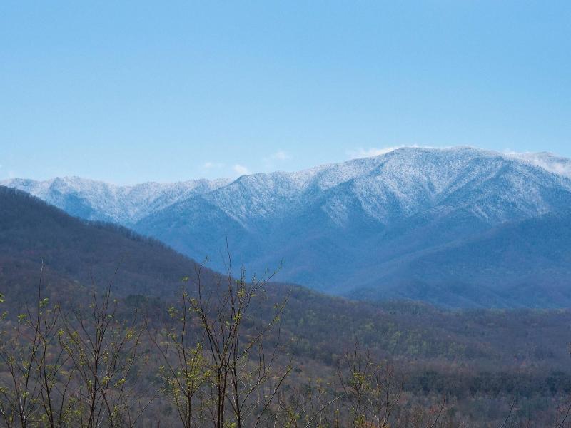 Mountain Treasure By Jackson Mountain Rentals image