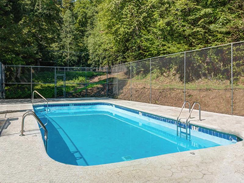 Mountain Treasure By Jackson Mountain Rentals image